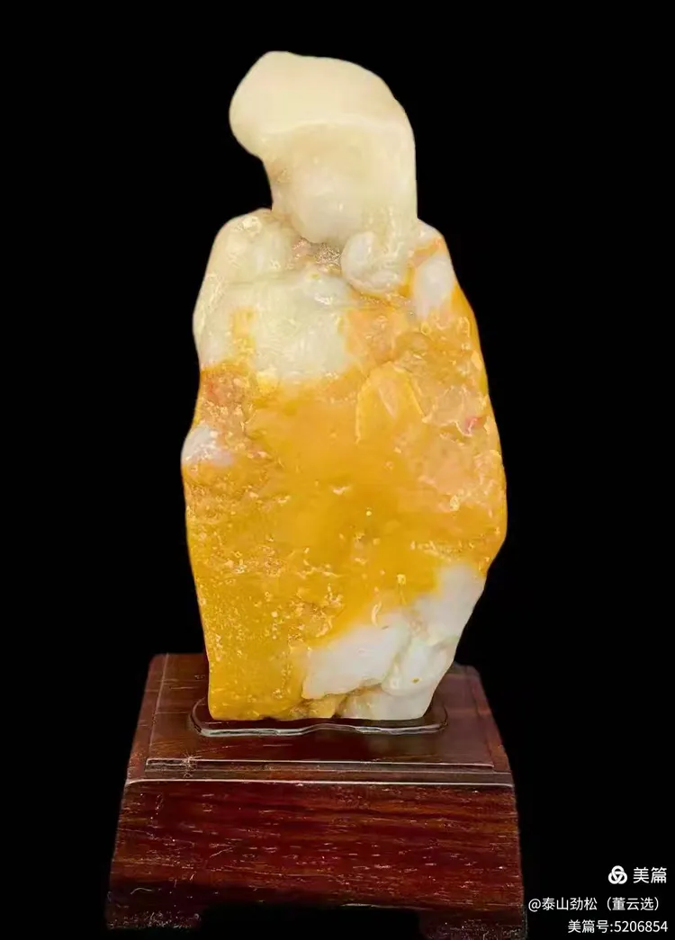 青岛市根石盆景艺术协会会长崔周村——新春贺词