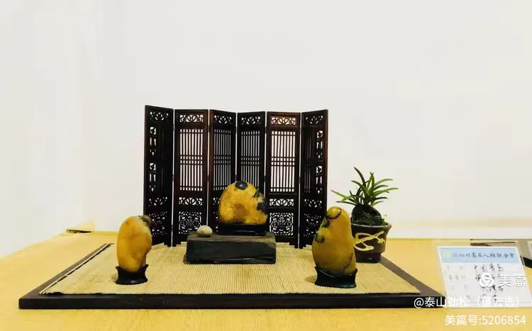 青岛市根石盆景艺术协会会长崔周村——新春贺词