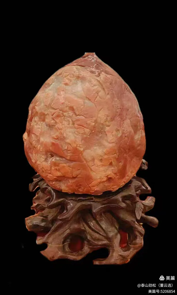 青岛市根石盆景艺术协会会长崔周村——新春贺词