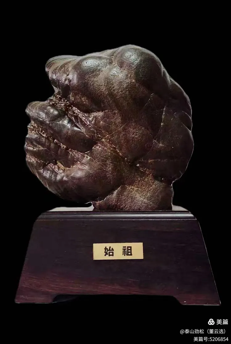 青岛市根石盆景艺术协会会长崔周村——新春贺词