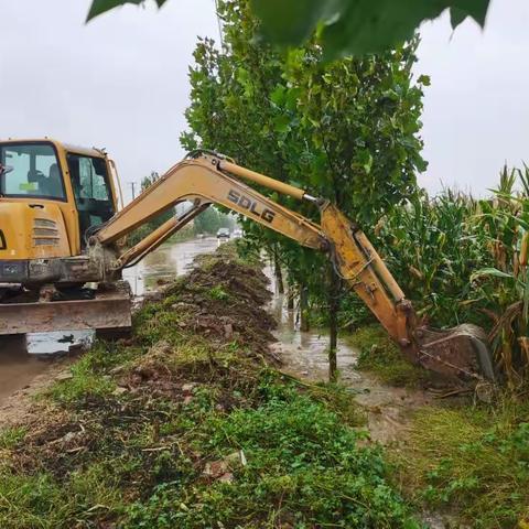 河北邯郸：积极应对持续降雨 全力抓好秋收秋种