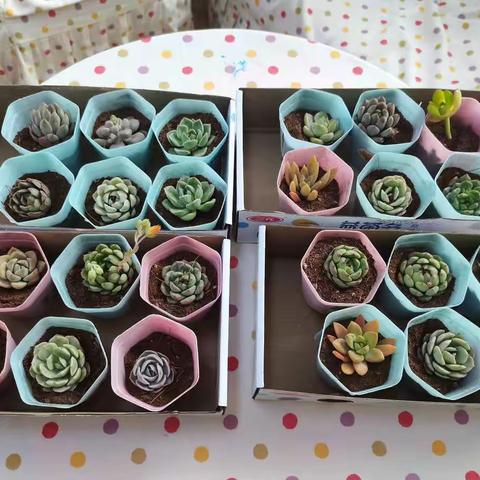 幼儿园里欢乐多