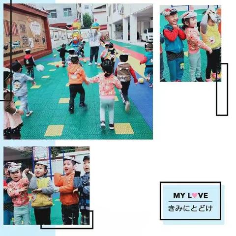 淅川县第五小学幼儿园秋季报名开始了！！！🎉🎉🎉
