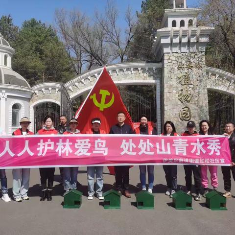 红松社区“爱鸟周”主题活动