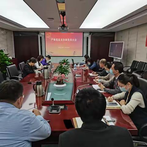 产业党总支召开全体党员大会 学习贯彻近期西城区国资委系统警示教育大会精神