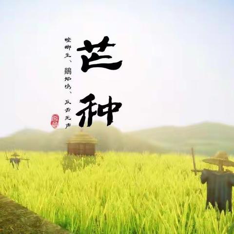 今日芒种，说说他们和天珠的故事（上）