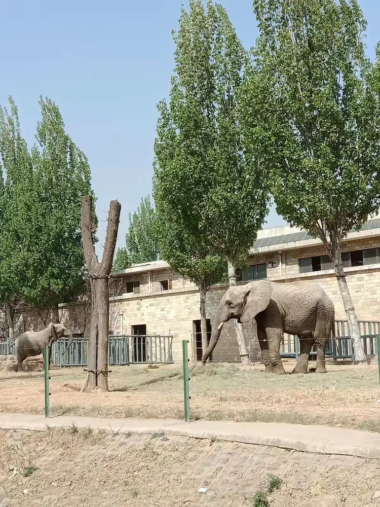 2019年石家庄动物园春之旅