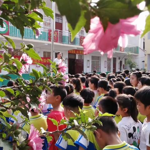 珍爱生命 •安全第一【后湾学校】周末安全主题班会