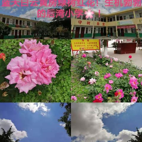 开学第一课•防疫安全•行为规范•做文明学生