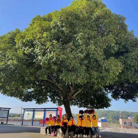 望城区高塘岭片区校维梓小学2021年下学期“结对教研”活动