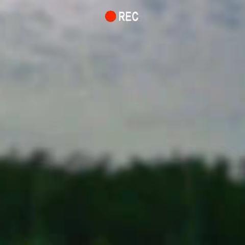 自然教育课程开课啦——“自然食育之玉米节”