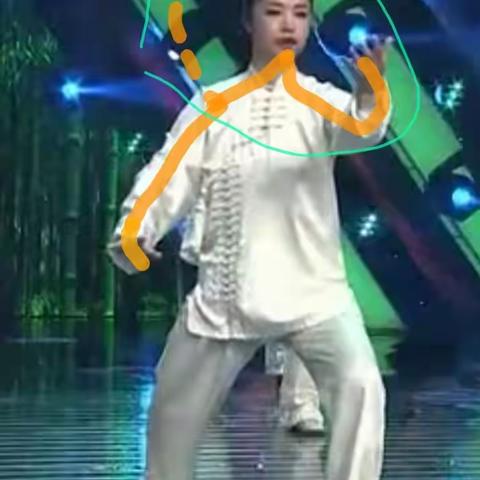 24式太极拳第三式—白鹤亮翅（我咋鹤立？）