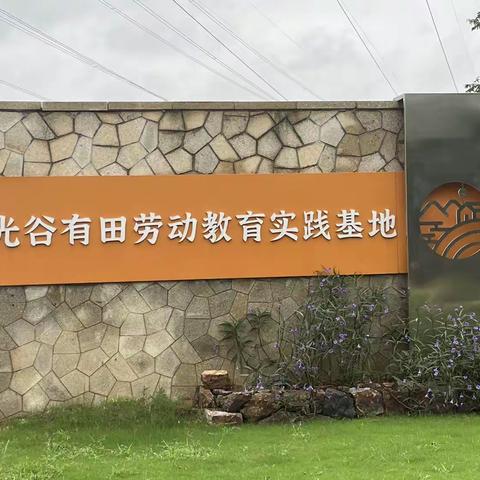 “谷乡慢城”赋振兴，体悟劳动之精神，传承非遗文化"赴光谷·有田建立劳动教育实践基地