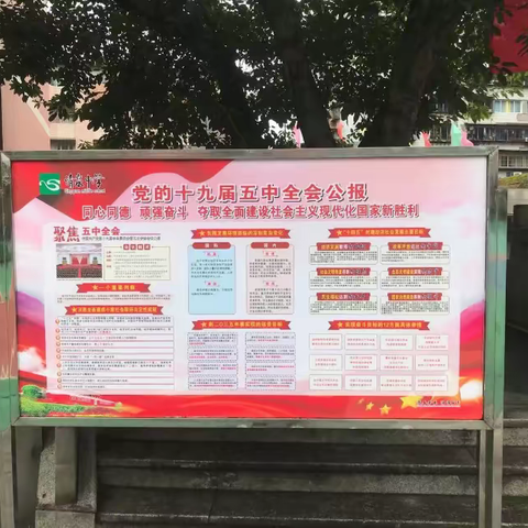 中共重庆市万州清泉中学委员会 深入学习贯彻党的第十九届五中全会精神