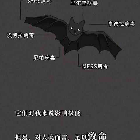 一只蝙蝠的自述在朋友圈火了：千万不要再吃野味了！