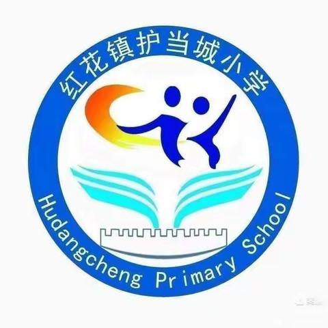 红花镇护当城小学日常工作纪实总结十