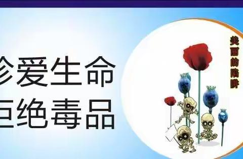 携手禁毒筑梦青春——兴业县第四中学开展禁毒宣传教育活动