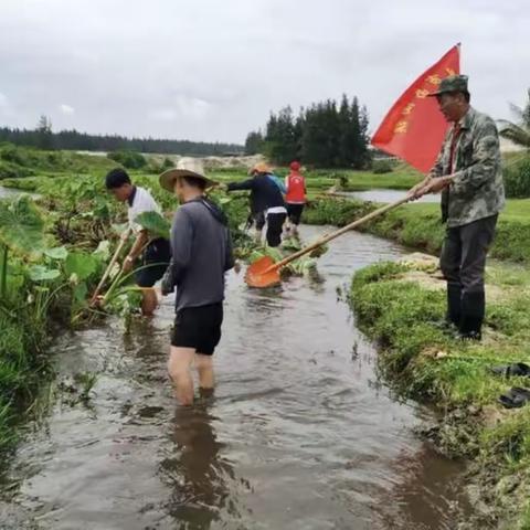 昌洒镇昌茂村委会开展“六水共治”活动
