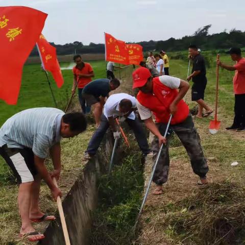 昌洒镇开展“党建引领 全民参与”治水大会战活动