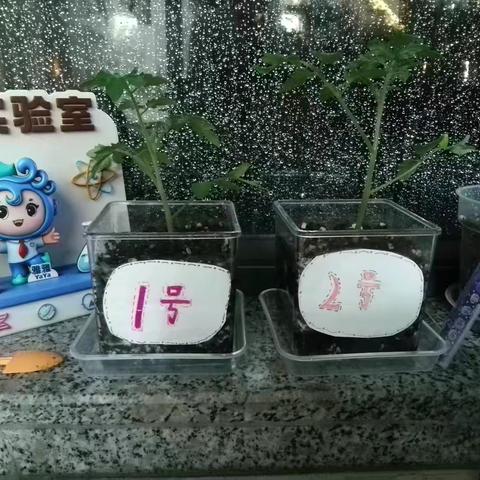 kk的美篇
