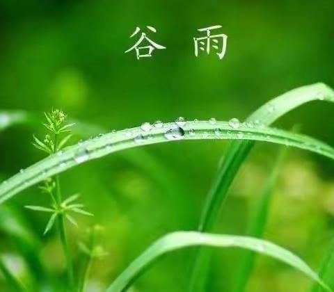 二十四节气 ——-谷雨