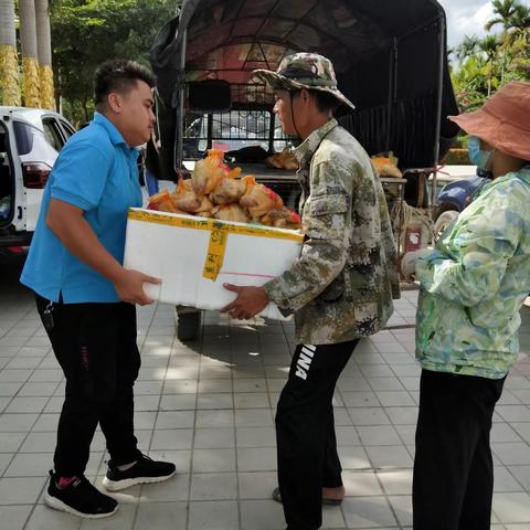 区应急管理局开展购买扶贫户滞销鸭活动