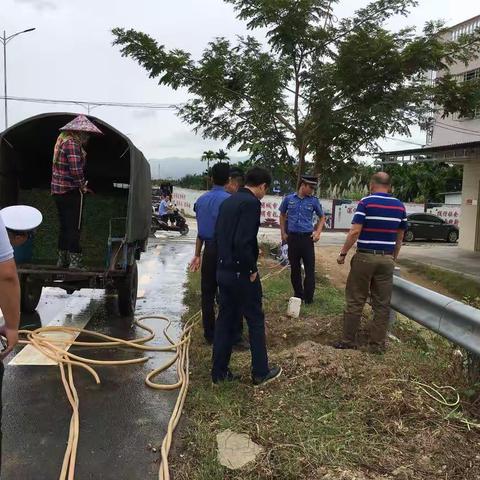 道路交通联合执法工作日记