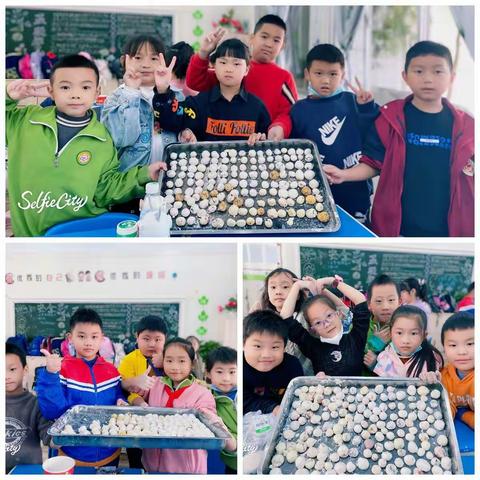 周末托管包汤圆，实践活动乐开怀