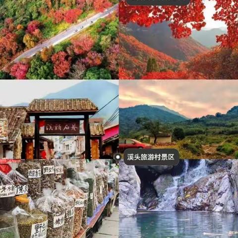 端午节从化度假方案