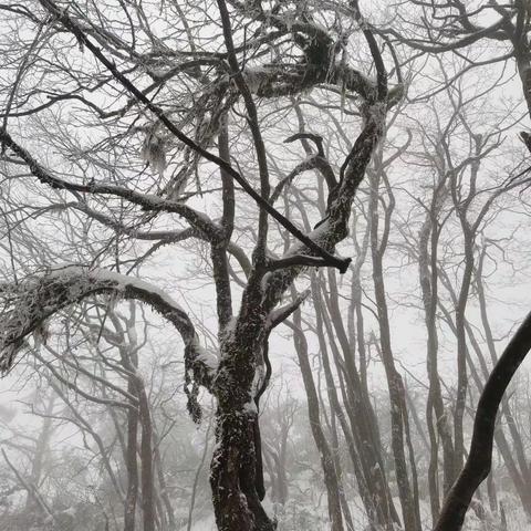 临江仙●14韵