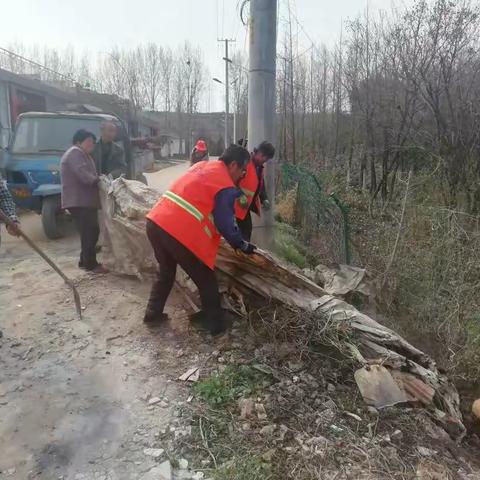 新南村清洁乡村活动纪实（续篇）