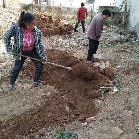 新南村清洁乡村活动纪实（续篇）