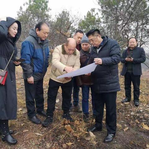 传播红色文化，推广绿色经济