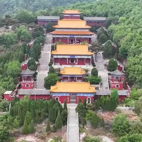 寻道九阳宫，拜谒古银杏