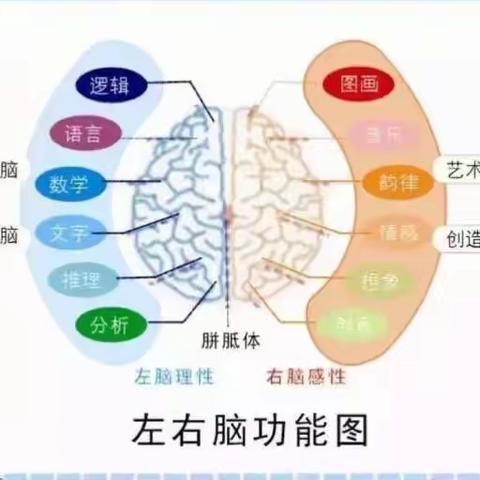 右脑开发开始报名啦！