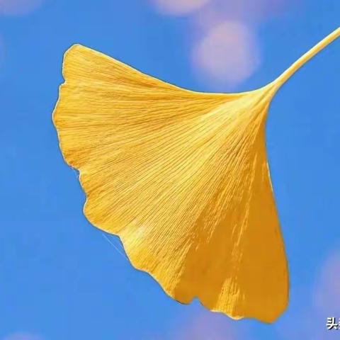 “疫”起学习树榜样      家校聚力谱新章——新密一高高二年级线上教学工作纪实(四)