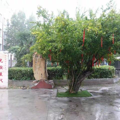 笃行不怠 “疫”起成长——新密一高高二年级线上教学工作纪实(二)