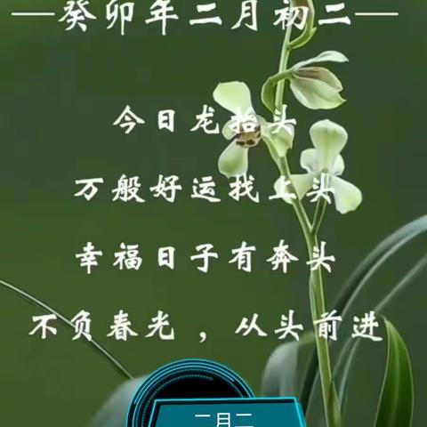 二月二，龙抬头