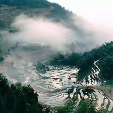 寻找夏日的清凉——娄底紫鹊界•三联峒•龙脊峰•冰泉峡谷两日游