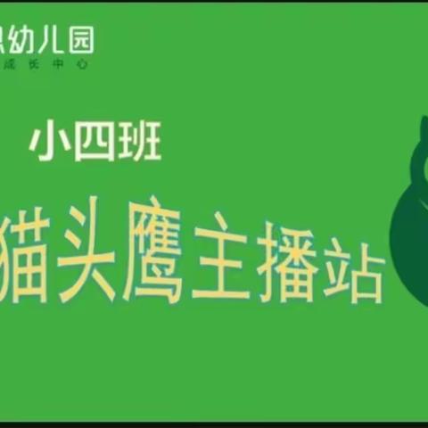 小四班“🦉小小猫头鹰主播站” ——第八期🎤