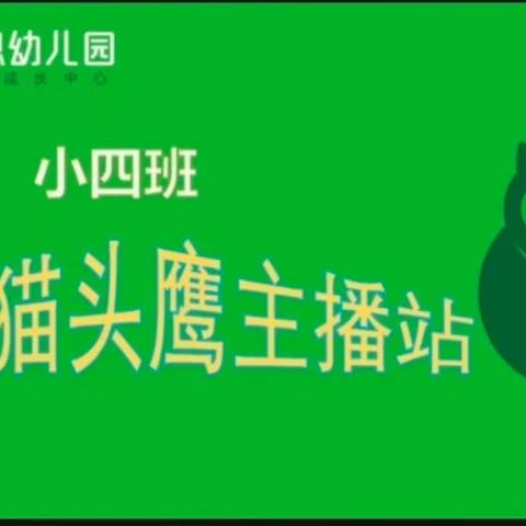 小四班“🦉小小猫头鹰主播站” ——第十期🎤