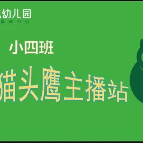 小四班“🦉小小猫头鹰主播站” ——第四期🎤