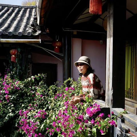 行走丽江之悠游游
