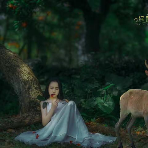 绿野仙踪（二）