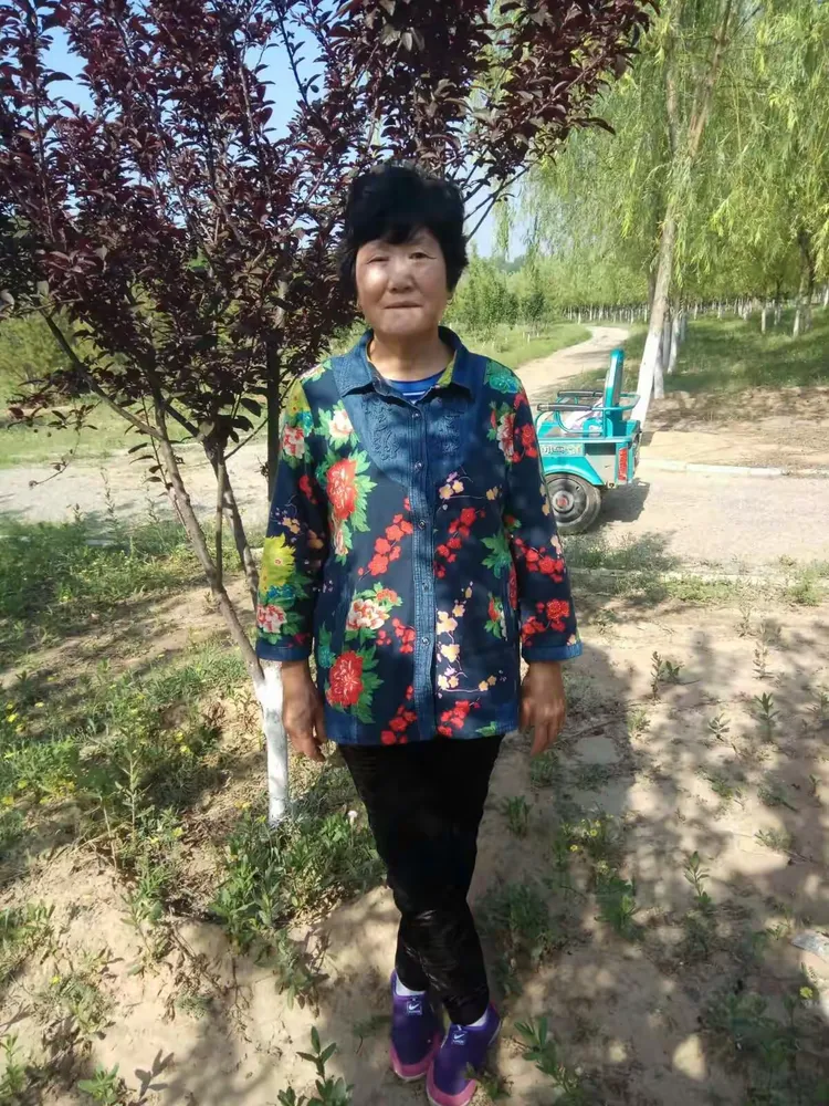 老伯带我和老婶去玩耍