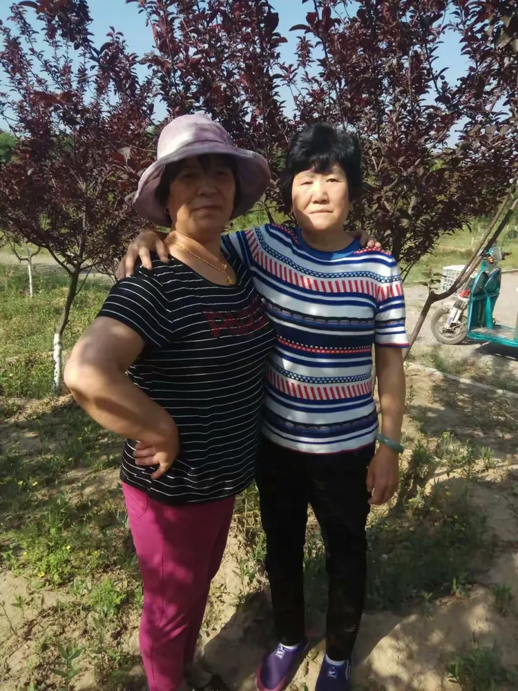 老伯带我和老婶去玩耍