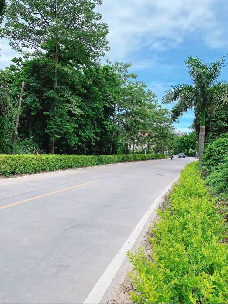 广东省百千万工程典型村.红色村