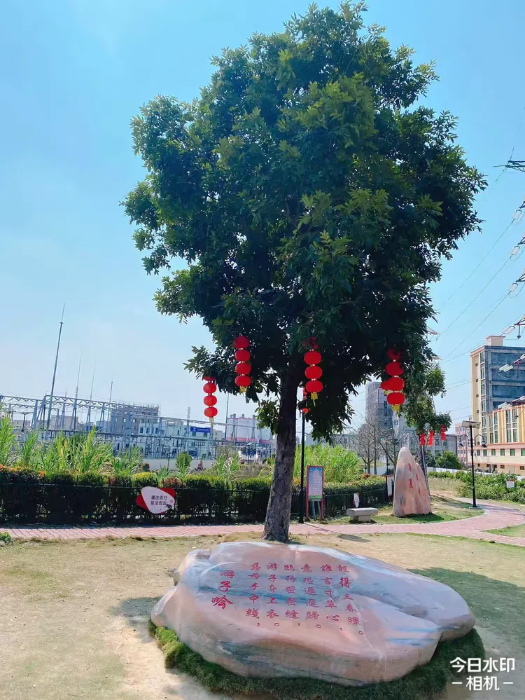 广东省百千万工程典型村.红色村