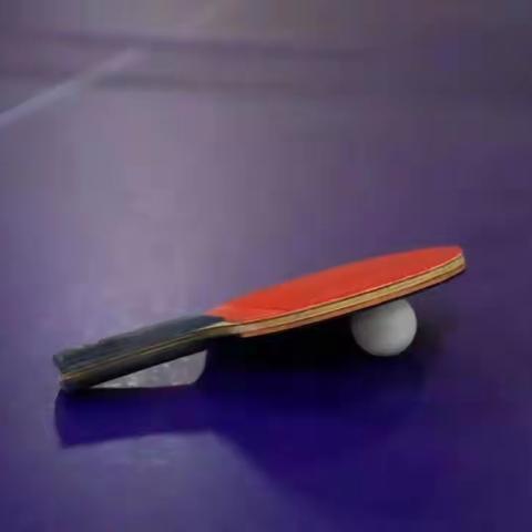 展国球魅力 扬教师风采 ——2021年红花山小学教职工乒乓球比赛圆满落幕