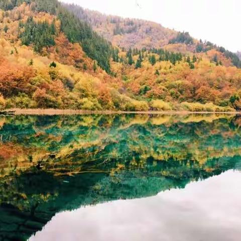 深秋九寨--遇见你是我最美的意外